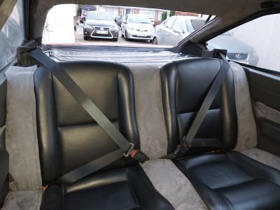 Rear quarters
