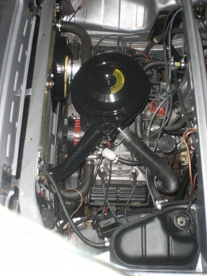 CIMG0903.JPG