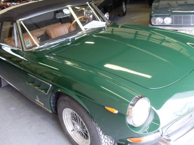 SL374255.JPG
