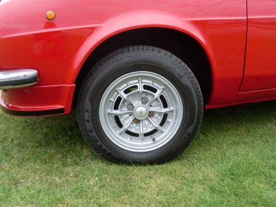 SL374359.JPG