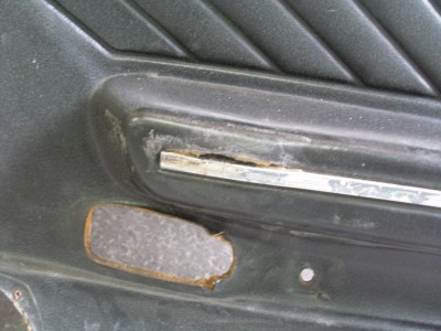 SL373799.JPG