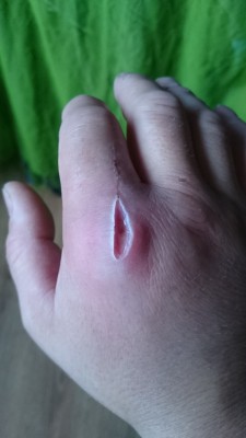 2015-10-26 07.47.16.jpg