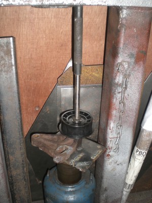CIMG0245.JPG