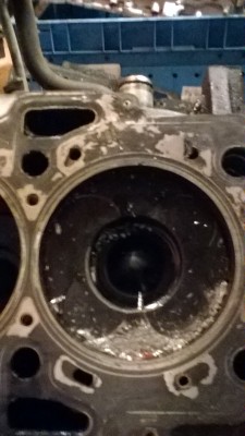 WP_20160220_17_59_47_Pro.jpg