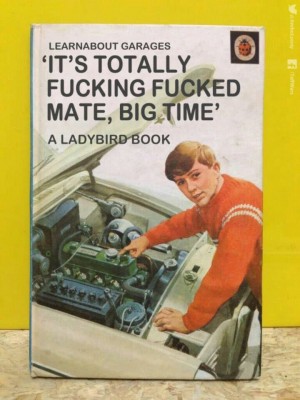 Ladybird book.JPG