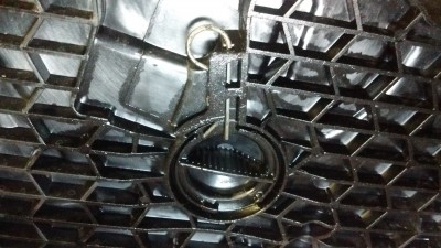 IMG_20170704_153826286.jpg